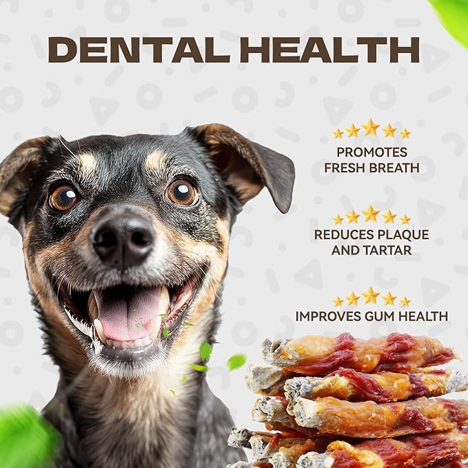 The Importance of Pet Dental Care