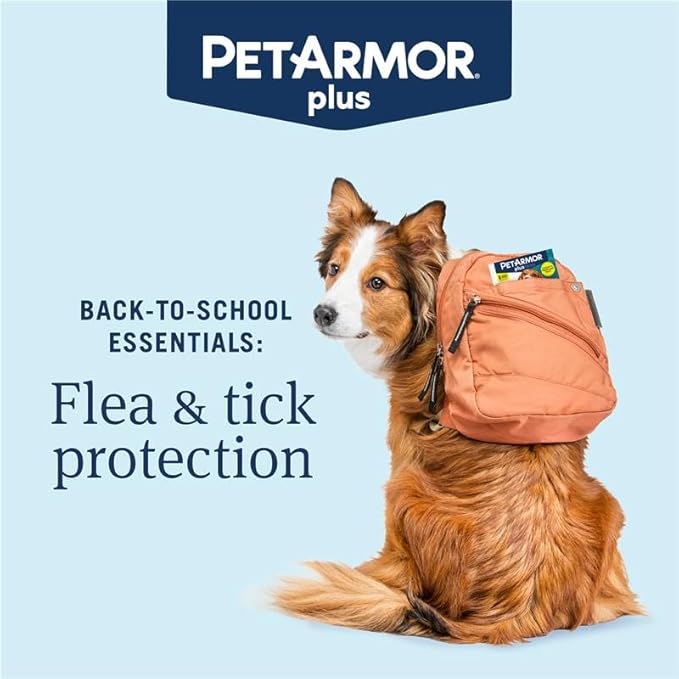 PetArmor Plus Flea and Tick Prevention for Dogs, Dog Flea and Tick Treatment, 12 Doses, Waterproof Topical, Fast Acting, Medium Dogs (23-44 lbs)