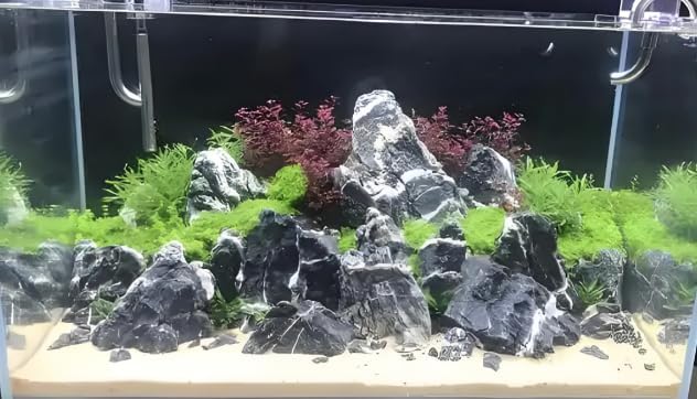 Natural Rocks Seiryu Stones Aquariums Stones for Aquascaping, Aquariums, Terrariums, Vivariums Decorative Stone,Reptile Enclosures,Paludariums,and Gardens-10LB(2 to 7 inch)