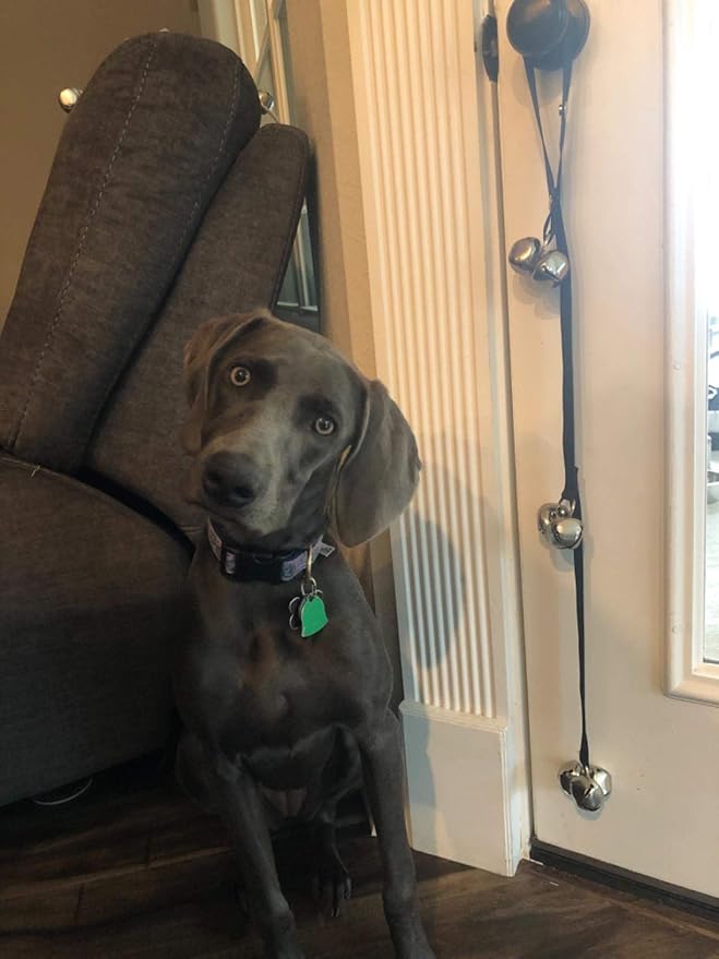 Dog Doorbells for Potty Training/Door Knob/Go Outside, Premium Quality Dog Bells, 7 Extra Large Loud 1.4 DoorBells, Adjustable Door Bell, Training Your Puppy The Easy Way