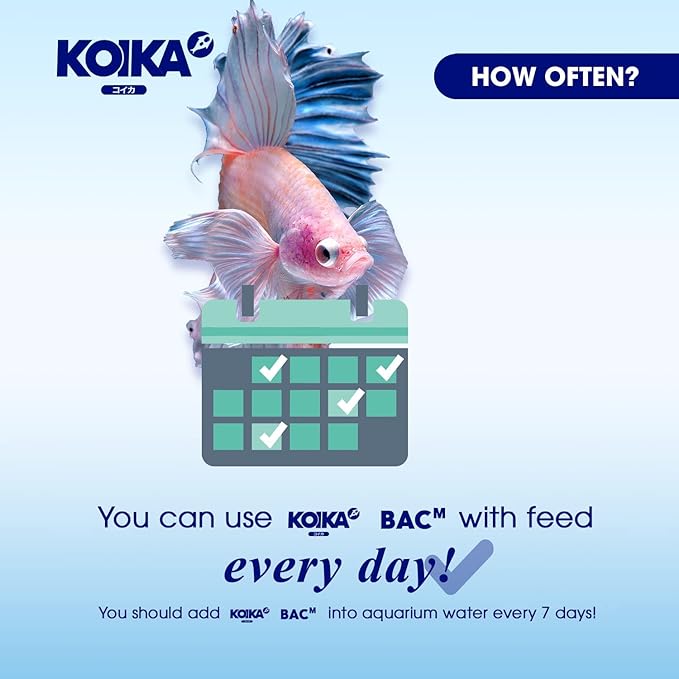 KOIKA BACM Natural Color Enhancement for Fish, Combination of Probiotic & Multi-Vitamins for Aquarium A, B6, B2, Pleasant Smell (BACM (New Formula), 30ml)