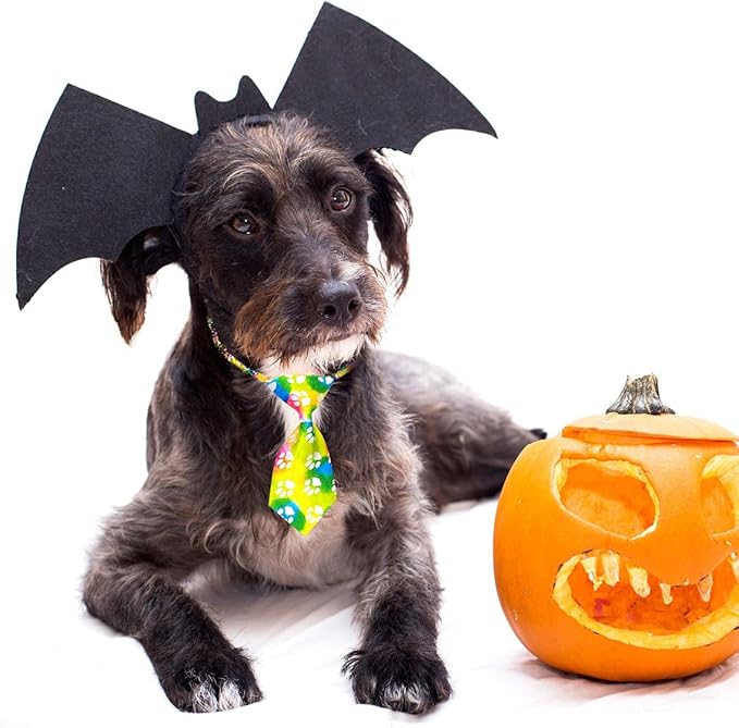 PET SHOW 10pcs Pack Paw Small Dog Ties Neckties for Doggies Cats Adjustable Holiday Birthday Grooming Accessories Neck Ties Bowties Girl Boy Festival Wedding Costumes Puppies Photography Party Gift