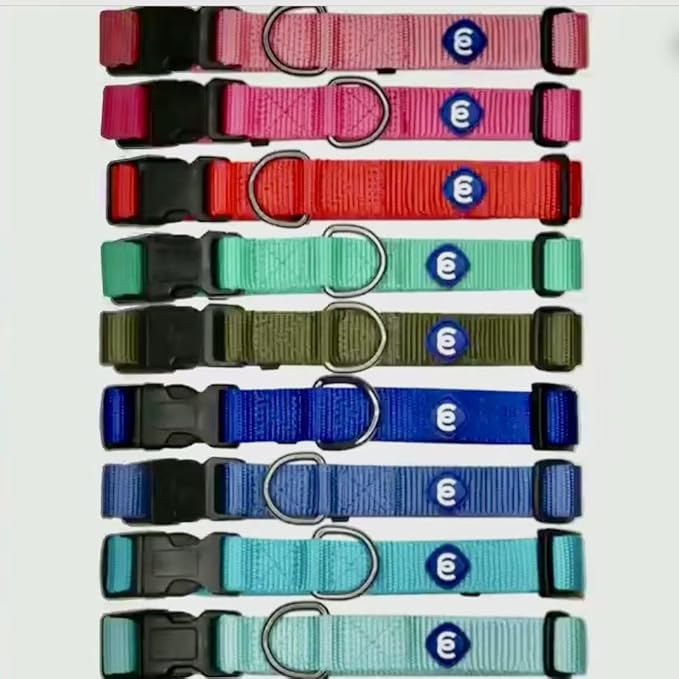 Blueberry Pet Essentials X-Small Dog Collar in Blazing Yellow | Adjustable & Eco-Friendly Durable Nylon Strap | Classic Collar for X-Small Dogs, Boy & Girl Pets