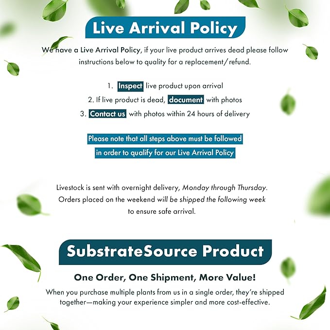 Live Aquarium Stem Plants - Freshwater Aquatic Plant for Fish Tanks, Aquascaping - (Micranthemum Umbrosum Giant Baby Tears, 1 Bunch)