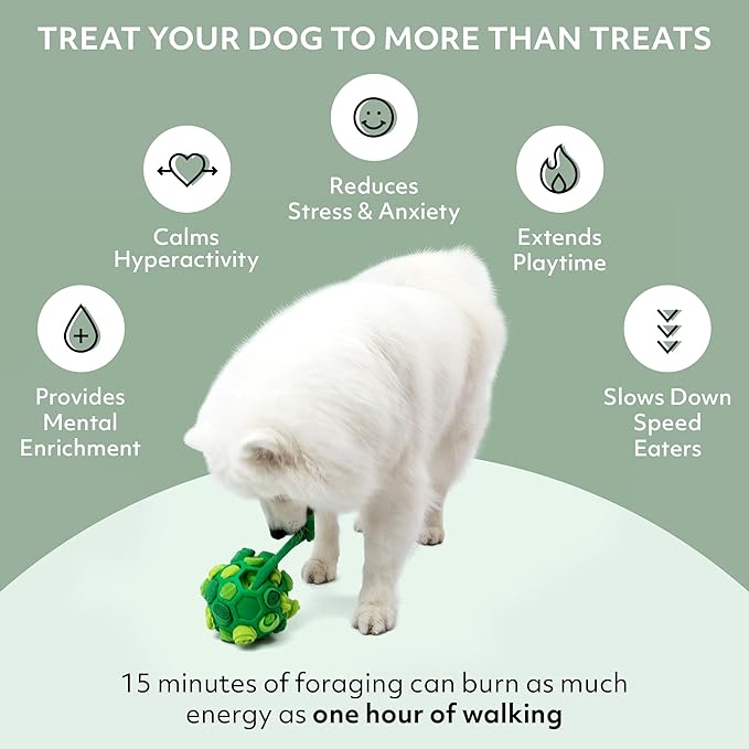 Reggie Forager Ball for Dogs | Mealtime Enrichment Toy | Reduces Boredom, Hyperactivity, Stress | Vet-Approved & Ideal for All Ages, Breeds, and Sizes