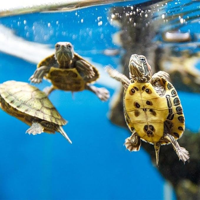 Aquarium Filter Cartridge for Whisper Bio Bag Power Filters, 9 Pack Assembled Large Filter Cartridges for Fish Turtle Tank Aquarium