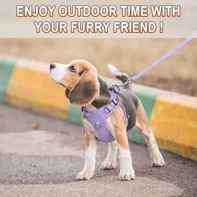 BARKBAY Dog Harness, Reflective Adjustable Puppy No Pull Harness, Breathable Soft for Small and Medium Dogs, Violet Purple, XXS