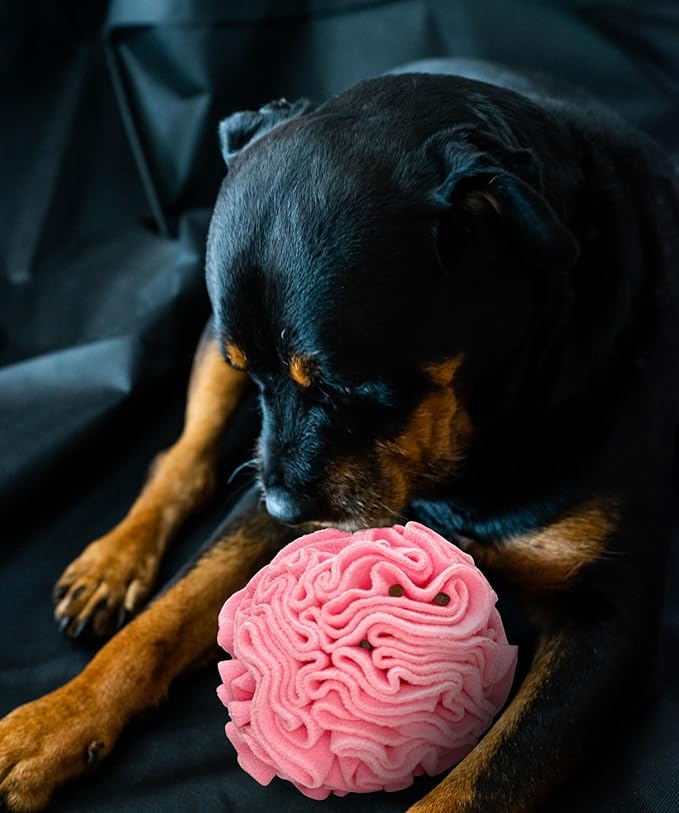 Medium Breed Snuffle Interactive Foraging Dog Puzzle Ball Toy Pink Large