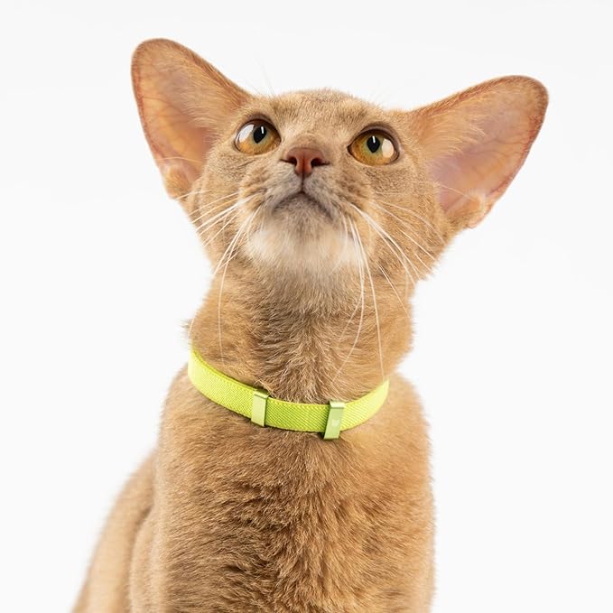 Safety Cat Collar - U.S. IDA Gold Awarding Design, Stretch Non Breakaway Elastic Quick Release, Light Weight Adjustable for Kitten, Neck Fit 7.8'-15.7' for All Small Large Cats,M(Blurple)