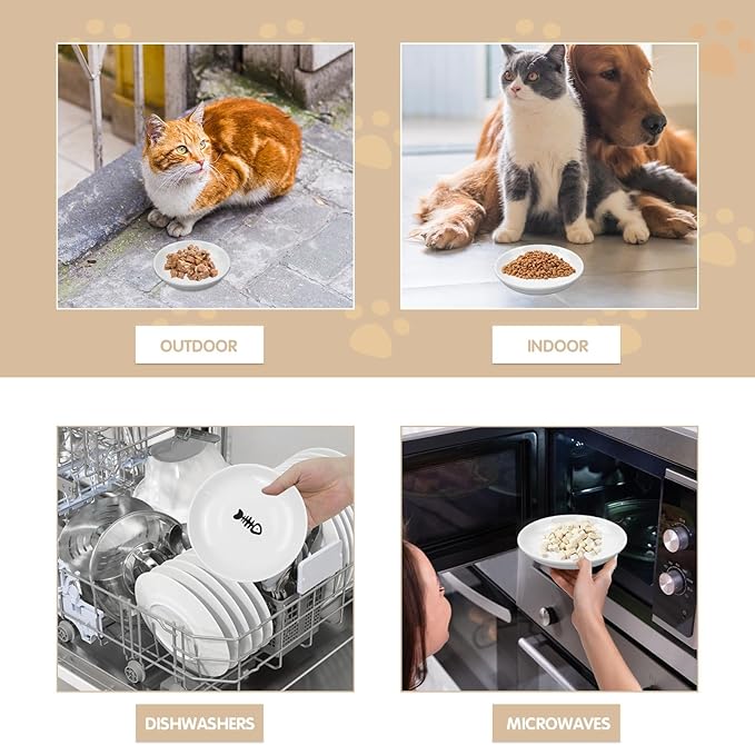 6 Pack Cat Food Bowl, Ceramic Cat Bowls, Anti Whisker Fatigue Cats Bowl Set,5.5 Inches Shallow Wide Kitten Plates for Food and Water (Fishbone Style)