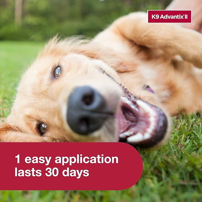 K9 Advantix II Large Dog Vet-Recommended Flea, Tick & Mosquito Treatment & Prevention | Dogs 21-55 lbs. | 2-Mo Supply (Packaging may vary)