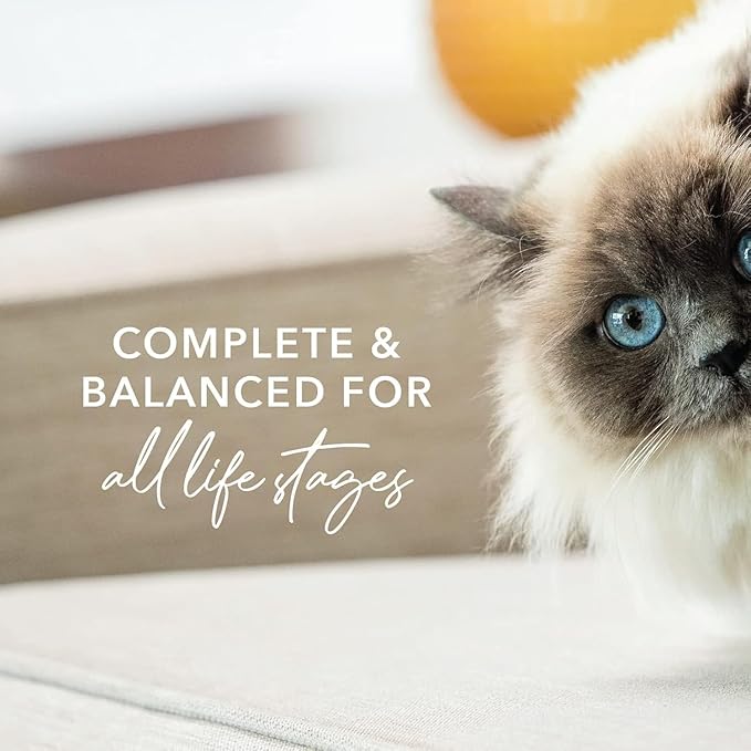 Feline Natural New Zealand Canned Catfood Wet Food, High-Meat, Low-Carb, & Grain Free Cat Food Wet, Beef & Hoki Feast, 3 oz, Pack of 24