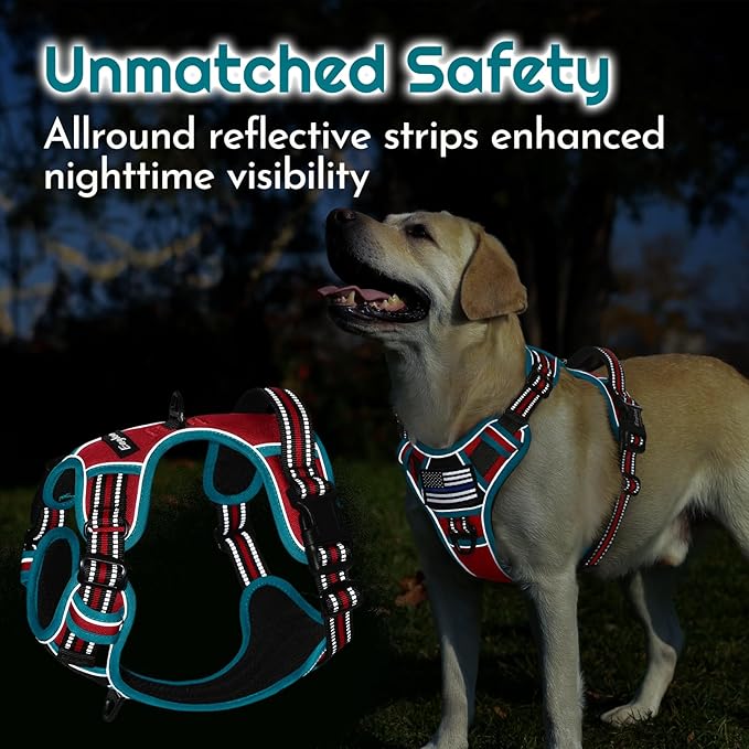 Eagloo Dog Harness for Large Dogs, Easy Wearing with 3 Buckles, Adjustable No Pull Pet Harness with 2 Rings for Walking, No Chock Reflective Soft Padded Vest with Control Handle, Red & Teal, L