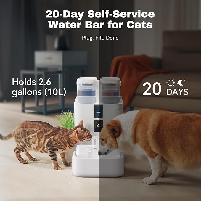 Daily Fresh Cat Water Fountain 10L/338oz Self Filling and Cleaning, Pet Water Dispenser with Filter System for Dogs, 5G Wi-Fi Smart Bowl Wastewater Separation & No Slimy with Quiet Pumps