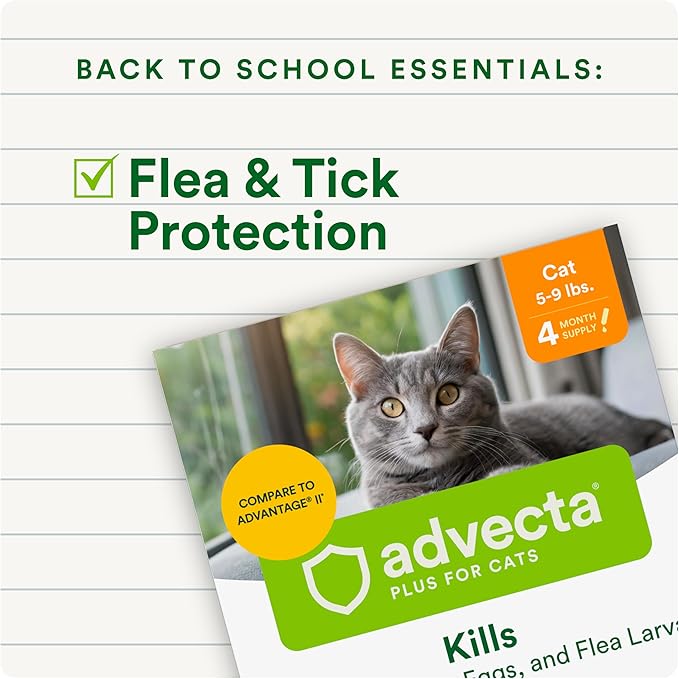 Plus Flea Prevention for Cats, Cat and Kitten Treatment & Control, Small and Large, Fast Acting Waterproof Topical Drops, 2 Month Supply