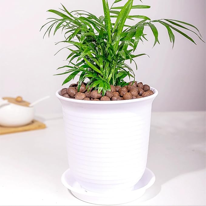 5 lbs Clay Pebbles for Plants, 8-12 mm Leca Clay Balls for Indoor Plants, Orchid Potting Mixes, Hydroponic Growing, Aquaponics, Potted Top Dressing and Drainage