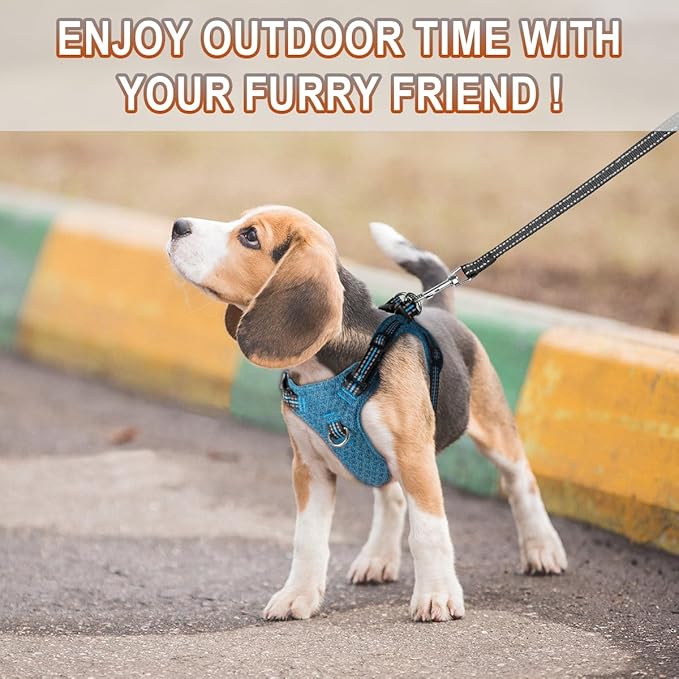 Dog Harness Step in Dog Vest Harness, Reflective Adjustable Puppy No Pull Harness Breathable Soft for Small and Medium Dogs Cats, Blue/Black, S