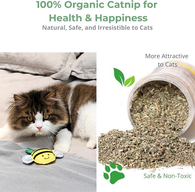 Eco-Friendly Cat Gift Box ā 7-Piece Set with Organic Catnip Toys, Feather Wand, Blanket & Pop-Up Cat Cave for Indoor Cats and Kittens