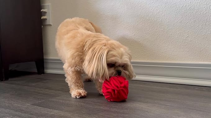 Puppy and Small Breed Snuffle Interactive Foraging Dog Puzzle Ball Toy Red with Crinkle