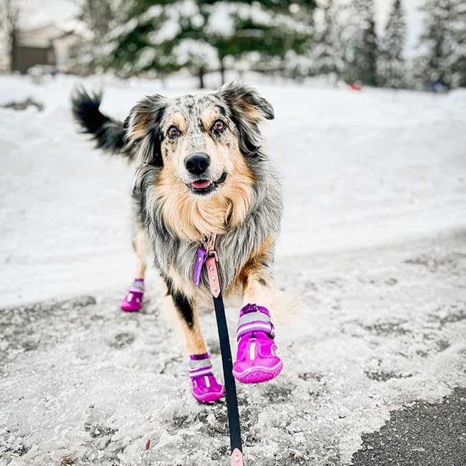 QUMY Dog Shoes for Large Dogs, Medium Dog Boots & Paw Protectors for Winter Snowy Day, Summer Hot Pavement, Waterproof in Rainy Weather, Outdoor Walking, Indoor Hardfloors Anti Slip Sole Purple Size 5