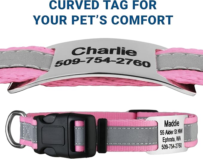 GoTags Reflective Personalized Dog Collar with Nameplate, Adjustable Dog Collar with Custom Engraved Steel Slide On Pet ID Tag, Silent, No Noise Dog Tag for Large Medium or Small (Pink, Small)