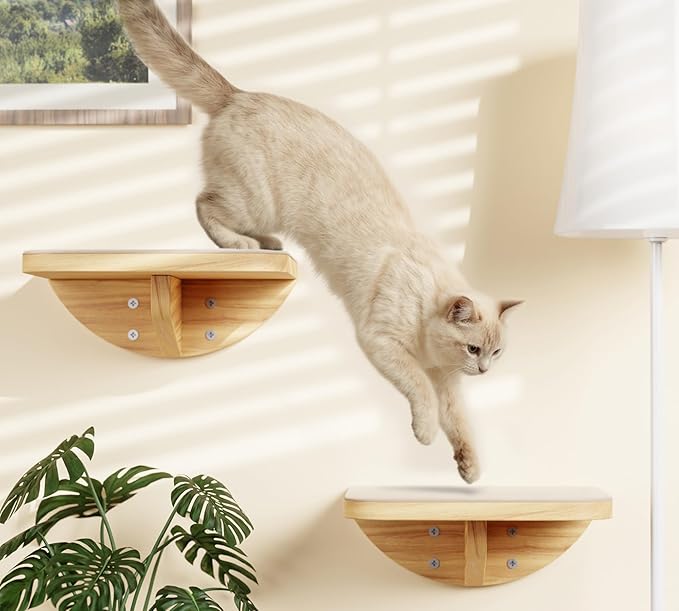 Cat Wall Shelves and Cats Window Perch – Natural Wood 4-Piece Set with Foam-Padded Curved Bed and Felt Steps, Space-Saving Wall Mounted Design