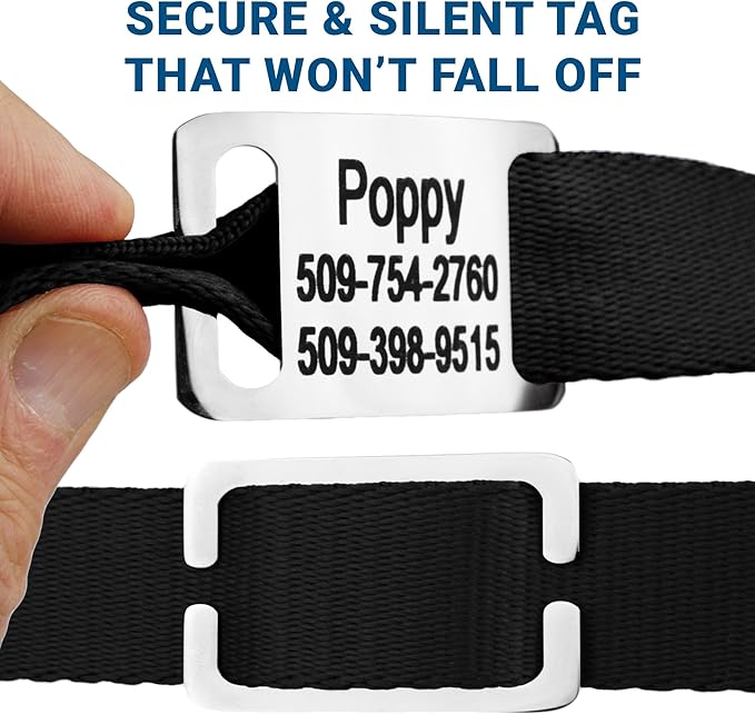 GoTags Personalized Dog Collar with Nameplate, Adjustable Dog Collar with Custom Engraved Slide On Pet ID Tag in Stainless Steel, Silent, No Noise Dog Tag (Light Blue, X-Small)