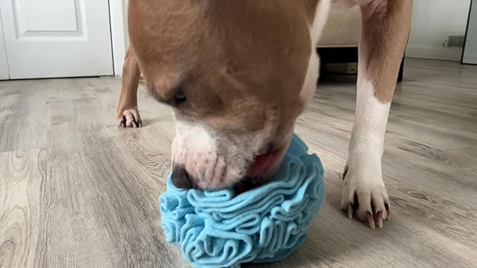 Medium Breed Snuffle Interactive Foraging Dog Puzzle Ball Toy Blue Large