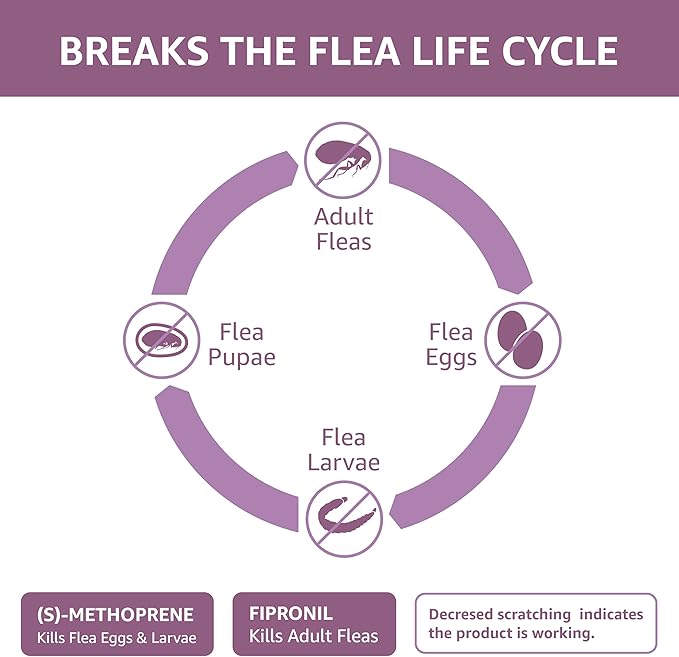 Amazon Basics Flea and Tick Topical Treatment for Large Dogs (45-88 pounds), 3 Count (Previously Solimo)
