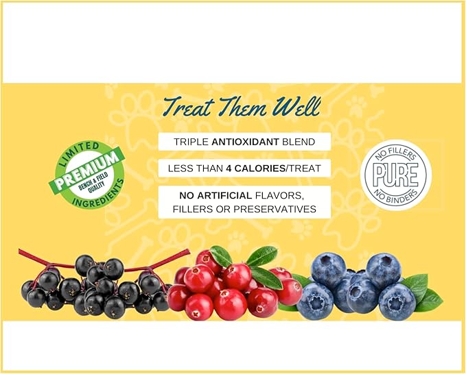 Bench & Field Holistic Natural Turkey & Triple Berry Dog Treats | Crunchy Bone-Shaped Bites | Antioxidant Blend, 10-Ounce Bottle