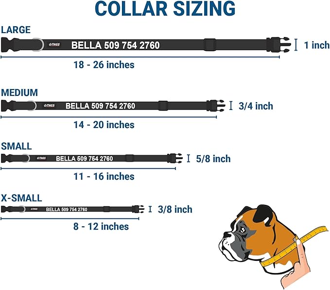 GoTags Personalized Dog Collar with Nameplate, Adjustable Dog Collar with Custom Engraved Slide On Pet ID Tag in Stainless Steel, Silent, No Noise Dog Tag (Hunter Green, X-Small)