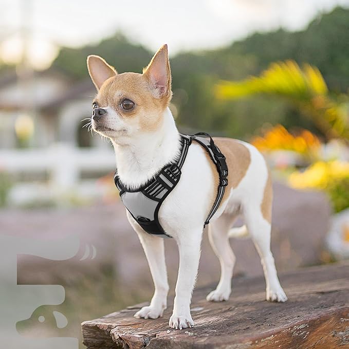 Eagloo Small Dog Harness No Pull, Service Vest with Reflective Strips and Control Handle, Adjustable and Comfortable for Walking, No Choke Pet Harness with 2 Metal Rings, Grey, XS