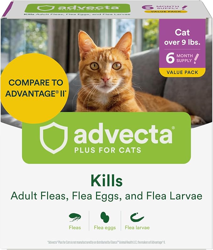 Plus Flea Prevention for Cats, Cat and Kitten Treatment & Control, Small and Large, Fast Acting Waterproof Topical Drops, 6 Month Supply