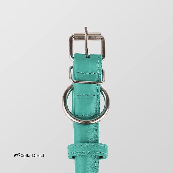 CollarDirect Rolled Leather Dog Collar, Soft Padded Round Puppy Collar, Handmade Genuine Leather Collar Dog Small Large Cat Collars 13 Colors (6-7 Inch, Mint Green Textured)