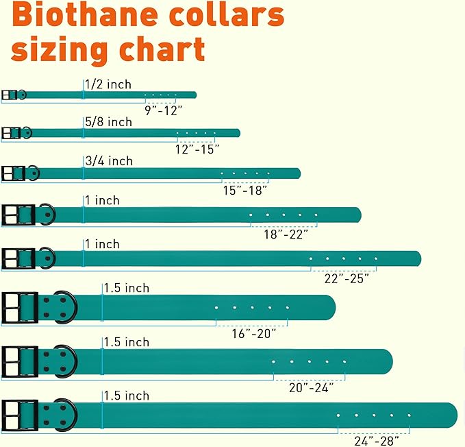 Dogline Biothane Waterproof Dog Collar Strong Coated Nylon Webbing with Black Hardware Odor- Proof for Easy Care Easy to Clean High Performance Fits Small Medium or Large Dogs, Blue Aqua