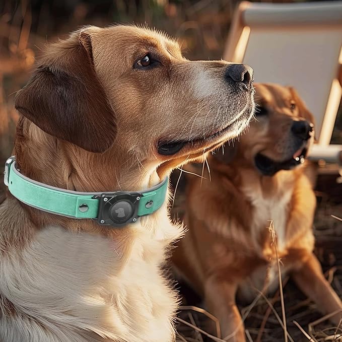 AirTag Dog Collar - Leather Dog Collar with Air Tag Holder | IPX8 Waterproof, Reflective, High - End, Adjustable Soft Padded | Dog GPS Tracker Collars Fit for Medium Large Dogs (Teal, L)