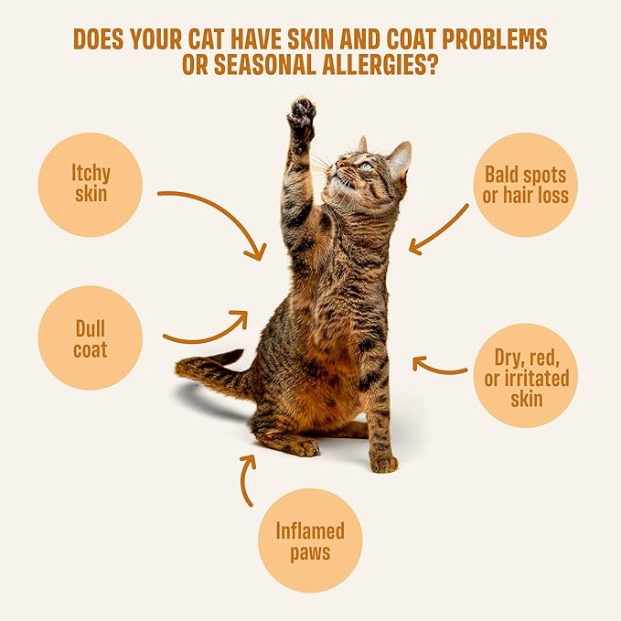 ivvi Skin & Coat for Cats ā Functional Creamy Snack with Salmon Oil, Algae Oil, Zinc, Collagen & Biotin ā Supports Skin and Fur Health ā 30 x 0.53 oz Sachets ā with Real Tuna