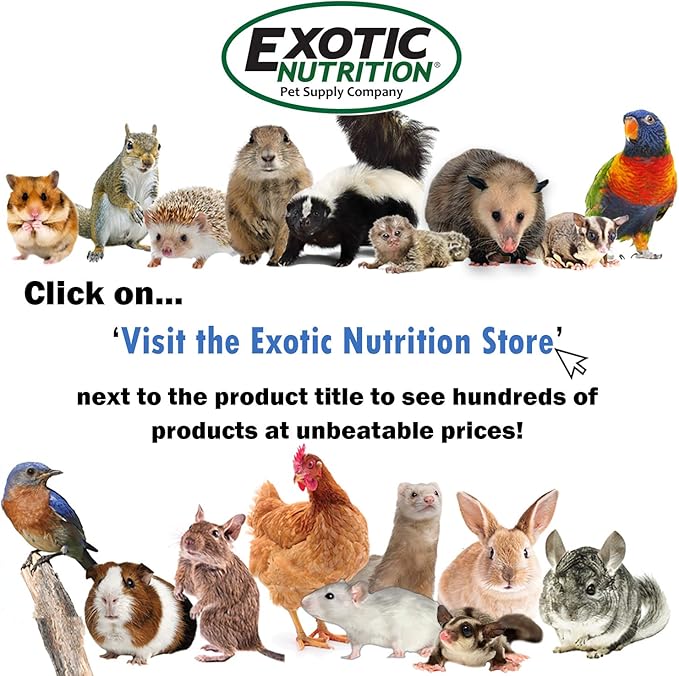 Exotic Nutrition Flower Treat 3 Pack - Healthy Assortment - Hibiscus, Calendula, Rose - for Squirrels, Guinea Pigs, Rabbits, Chinchillas, Prairie Dogs, Degus, Hamster, Gerbils, & Other Herbivores