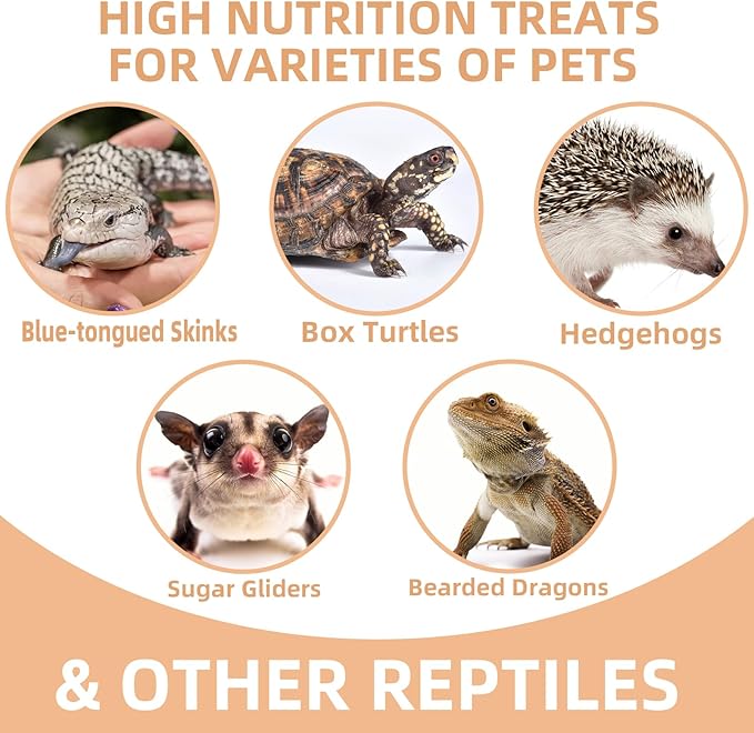 Freeze Dried Crickets – 4.5 Oz High Protein Freeze Dried Crickets, Food for Reptiles, Bearded Dragons, Lizards, Geckos, Birds, Fish,Hedgehogs, Bearded Dragon Food