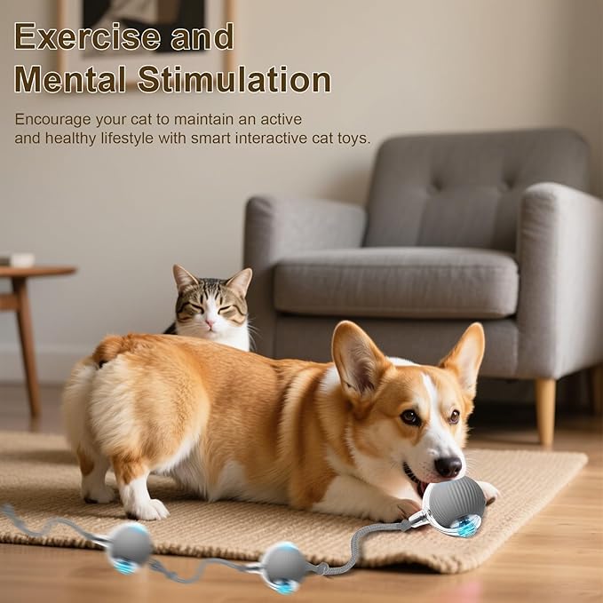 Interactive Cat Toy, 2025 New Interactive Rolling Cats Dog Toy Balls 360° Smart Automatic Rolling Pet Ball, Fast Moving Toy for Dog,Cat Ball Toy (Grey)