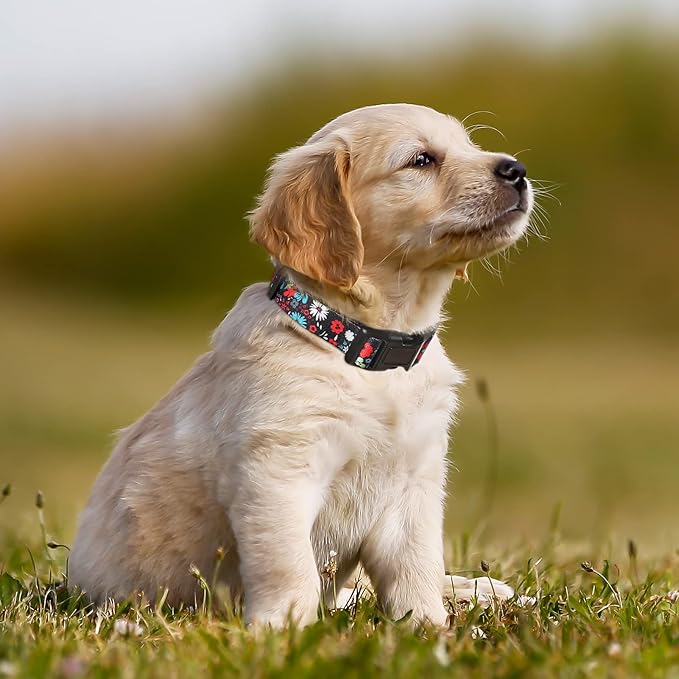 HEELE Dog Collar, Adjustable Soft Dog Collar for Small Medium Large Dogs,Floral Patterned Puppy Collars with Quick Release Buckle M Length 13.39''-20.87''