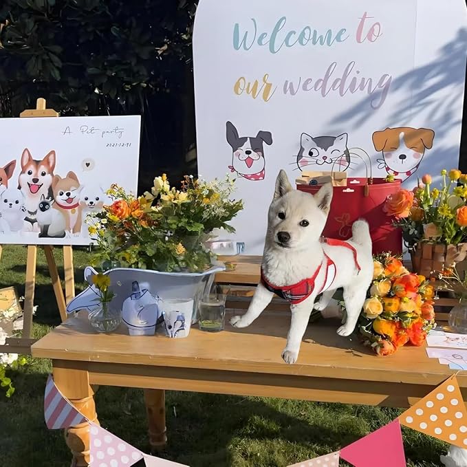 Dog Tuxedo for Wedding, Formal Pet Suit with Bow Tie and Leash, Adjustable Dog Costume for Small Medium Large Dogs, Birthday Christmas Halloween Party Apparel, M(8-14LB)