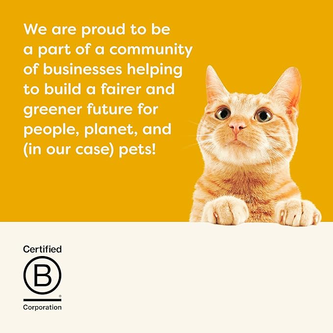 Applaws Natural Wet Cat Food in Gravy, Limited Ingredient Canned Cat Food, Wet Food for Cats with No Artificial Additives, Chicken Breast & Turkey in Gravy (24 x 2.47 oz Cans)