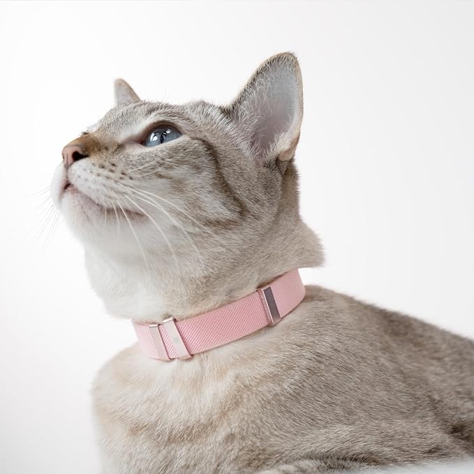 Safety Cat Collar - U.S. IDA Gold Awarding Design, Elastic Quick Release, Non Breakaway - Lightweight for Kitten, Neck Fit 5.9'-11.8' for All Small Large Cat,S(Vivid Red)