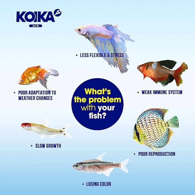 KOIKA BACM Natural Color Enhancement for Fish, Combination of Probiotic & Multi-Vitamins for Aquarium A, B6, B2, Pleasant Smells (BACM, 30ml)
