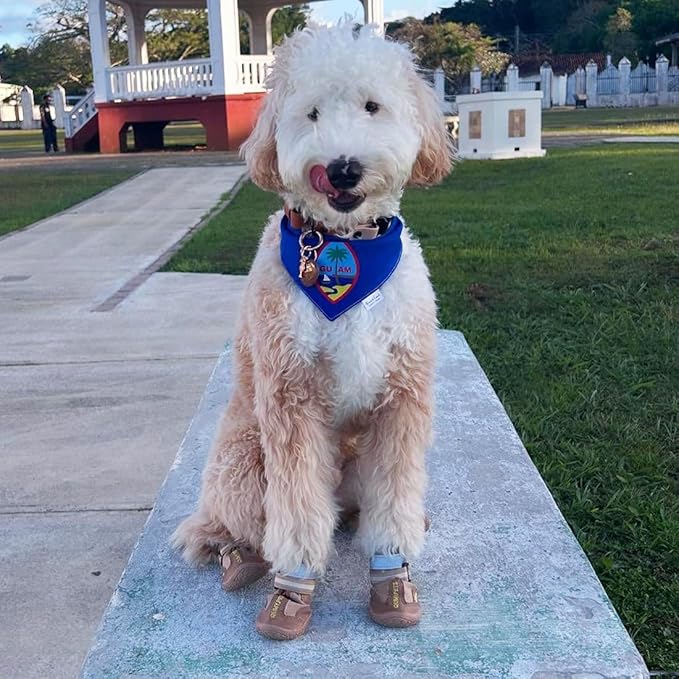 QUMY Dog Shoes for Large Dogs, Medium Dog Boots & Paw Protectors for Winter Snowy Day, Summer Hot Pavement, Waterproof in Rainy Weather, Outdoor Walking, Indoor Hardfloors Anti Slip Sole Khaki 1