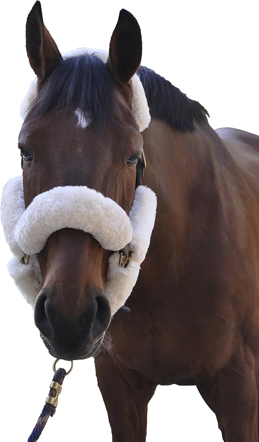 ECP Equine Comfort Products Merino Sheepskin Halter Fleece Set for Horses, 100% Natural Wool, Chafe Protection, Breathable Relief & Cushioned Comfort, Machine Washable, 9-Piece Set, White