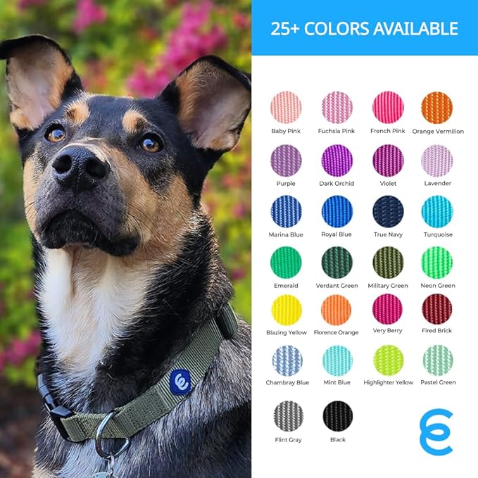 Blueberry Pet Essentials Dog Collar | Adjustable Nylon Dog Collar for Large Dogs | Classic True Navy Dog Collars for Small Dogs | Premium Pet Safety & Style with Secure Leash Attachment