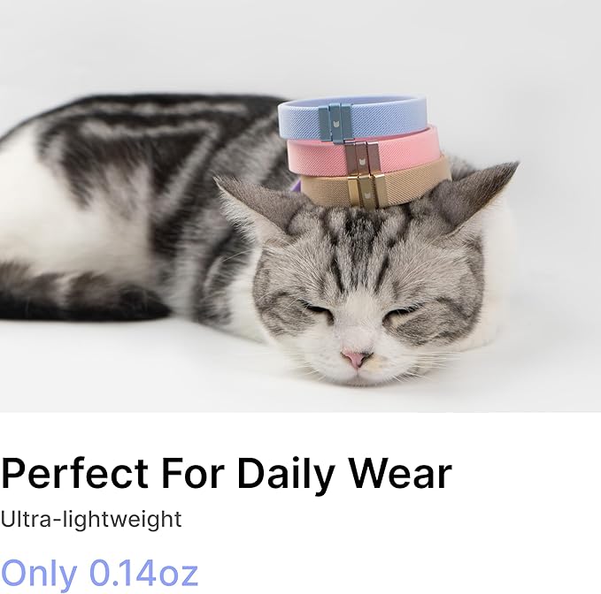 Safety Cat Collar - U.S. IDA Gold Awarding Design, Elastic Quick Release, Non Breakaway - Lightweight for Kitten, Neck Fit 5.9'-11.8' for All Small Large Cat,S(Vivid Red)