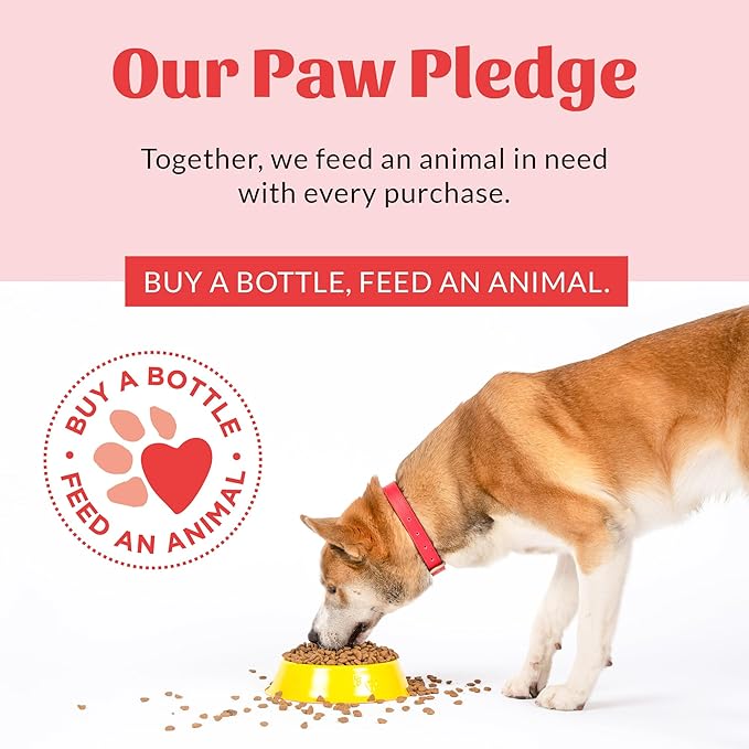 SKOUT'S HONOR Peanut Butter & Bacon Oral Gel - Fights Plaque and Tartar, Freshens Breath Fast, No Brushing Required, 4 oz, 2-Pack